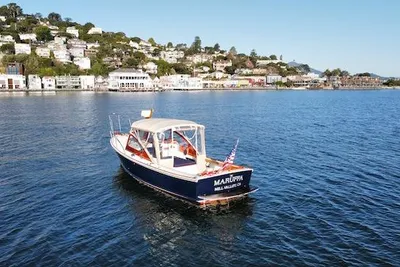 Dyer 29