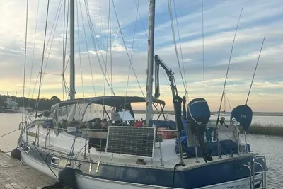 Morgan 41
