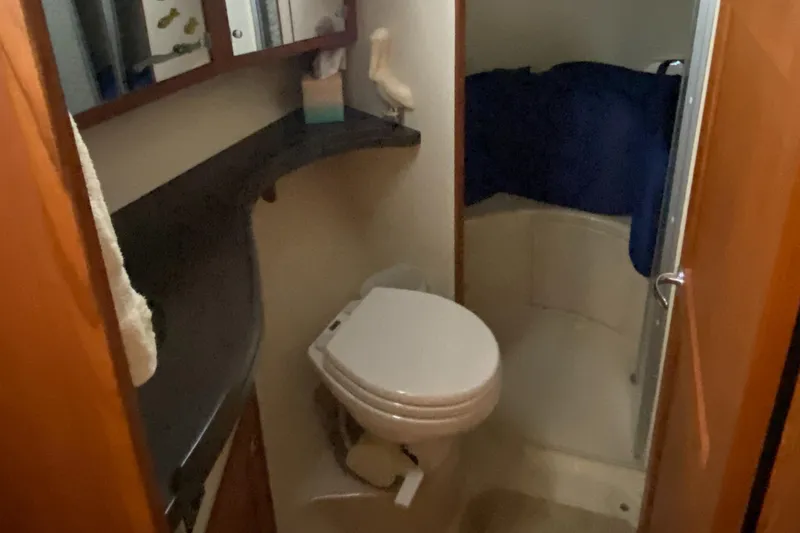 Focused Yacht Photos Pics 