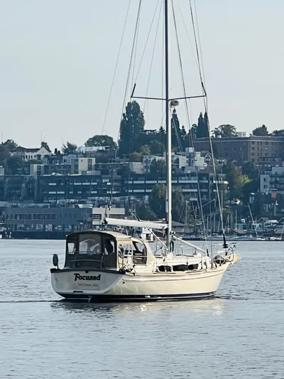 Focused Yacht Photos Pics 