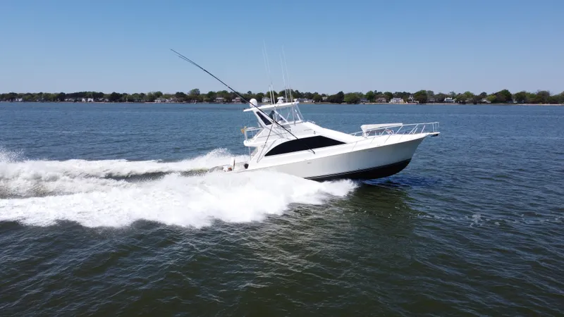 Whaler Yacht Photos Pics 