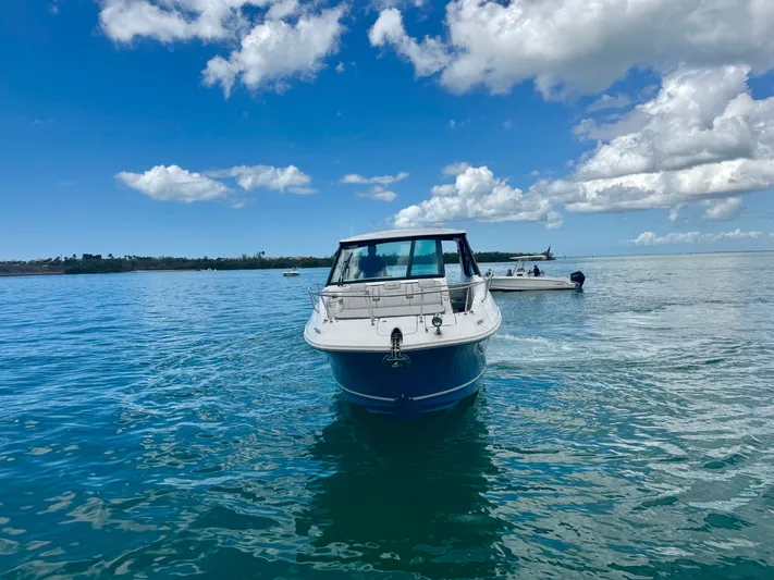  Yacht Photos Pics 2025 Sea Ray Sundancer 320 Outboard on open water.