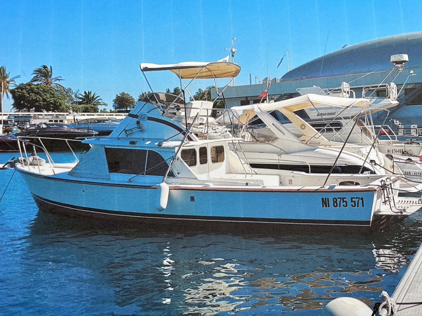 Nieuw 1981 Bertram 31 Flybridge Cruiser CANNES, Alpes-Maritimes ( 06 ...