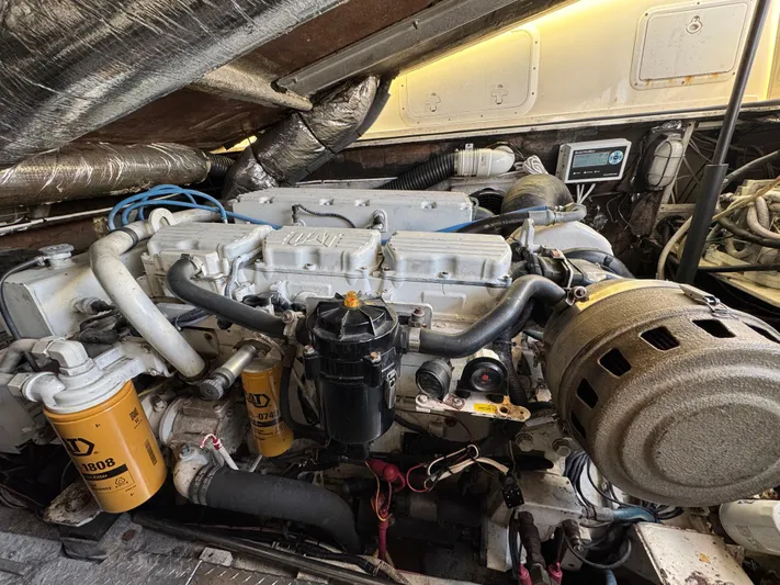 Stewartship Yacht Photos Pics 