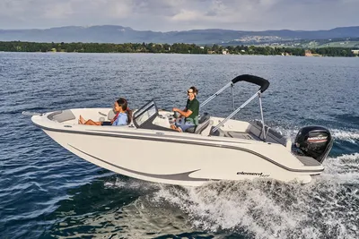 2025 Bayliner Element M19