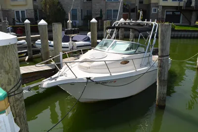 Seaswirl Striper 2101 Walkaround