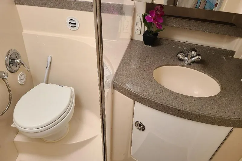  Yacht Photos Pics 2009 Regal Commodore 3760 IB bathroom with toilet, sink, and decorative orchid.