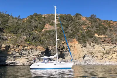 Catalina 310