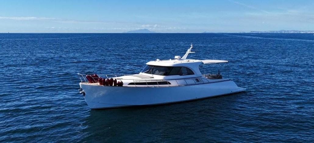 Mochi Craft Dolphin 51