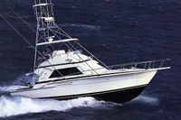 1989 Bertram 43 Convertible