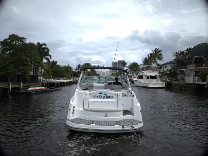  Yacht Photos Pics 2017 Rinker 320 Express Cruiser on a scenic waterway with palm trees.