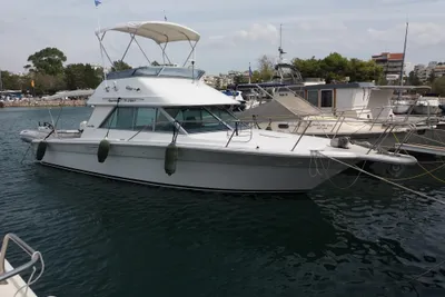 Sea Ray Amberjack 31