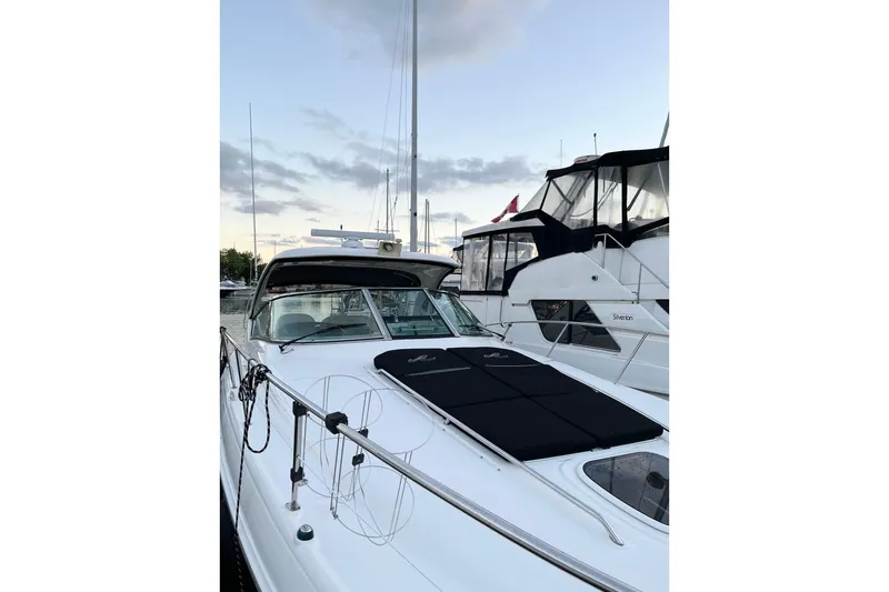  Yacht Photos Pics Sea Ray 390 Sundancer 2012 docked at marina, with clear sky and neighboring boats.