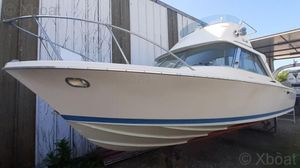 1972 Riva BERTRAM SPORT FISHERMAN 25