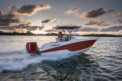 2025 Wellcraft 223 Fisherman