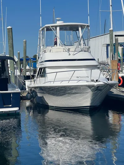 Dog Daze Yacht Photos Pics 2001 Jupiter 35 Convertible yacht docked at marina, reflecting on calm water.
