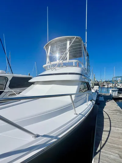 Dog Daze Yacht Photos Pics 2001 Jupiter 35 Convertible yacht docked under clear blue sky.