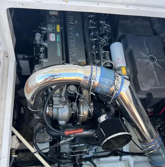 Dog Daze Yacht Photos Pics 