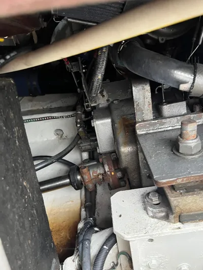 Dog Daze Yacht Photos Pics 