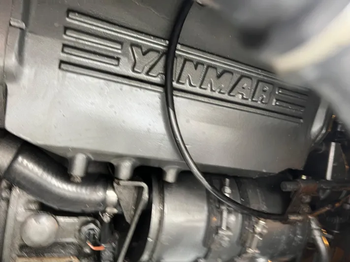 Dog Daze Yacht Photos Pics 