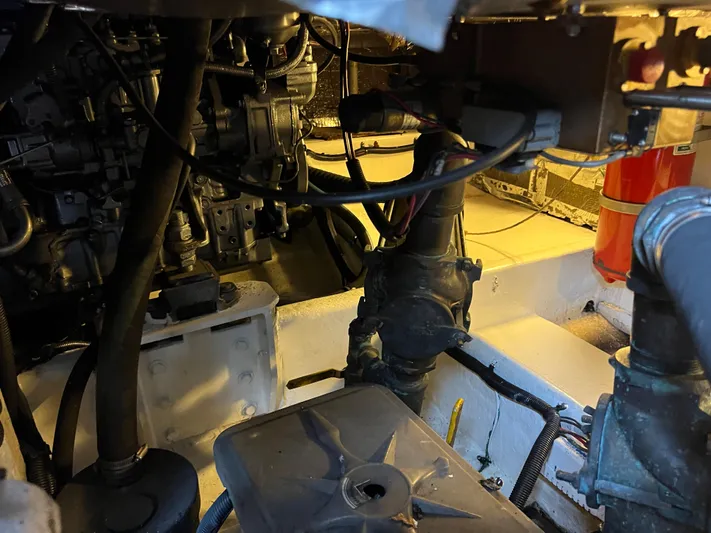 Dog Daze Yacht Photos Pics 