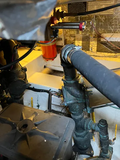 Dog Daze Yacht Photos Pics 