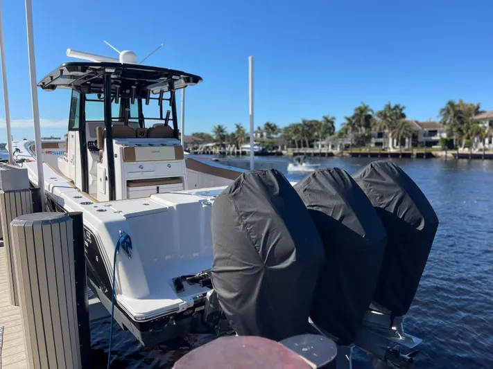 Fish Business Yacht Photos Pics 