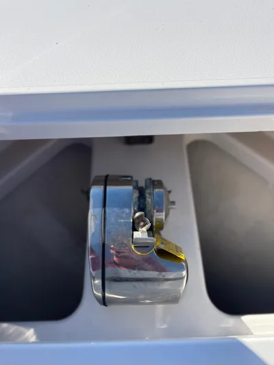 Fish Business Yacht Photos Pics 