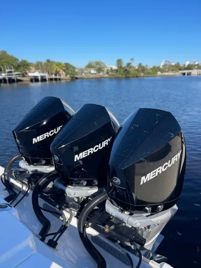 Fish Business Yacht Photos Pics 