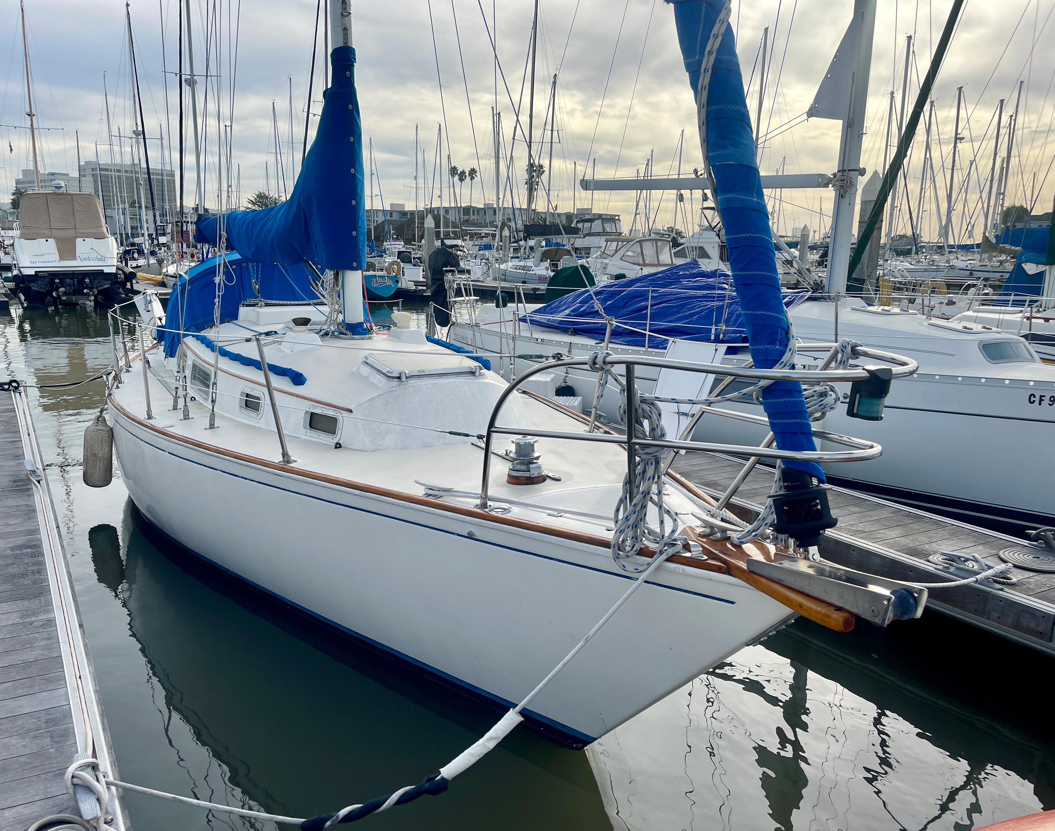 sabre 34 yacht