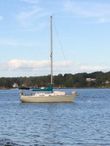 1974 Pearson 10M