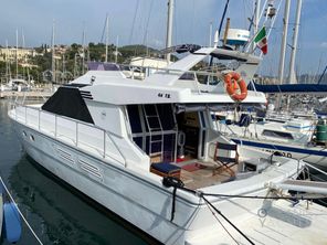Giorgi 46 fly