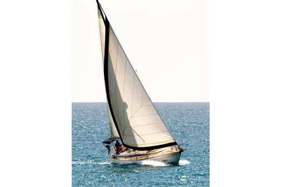 1983 stern, sciarrelli sciarrelli, stern, magoo 42