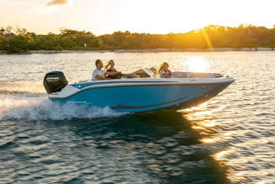 Bayliner Element M17