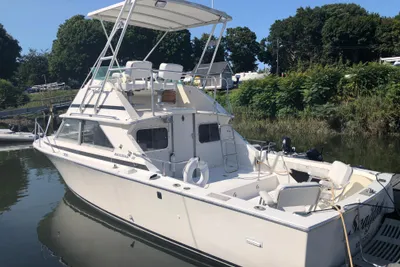 Bertram 28 Flybridge CRUISER
