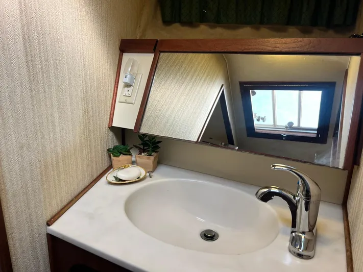 Arvo Arrow Yacht Photos Pics 1985 Chris-Craft 460 Constellation bathroom with sink, mirror, and potted plants.