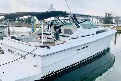 Sea Ray 39