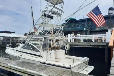 Blackfin 33 Combi