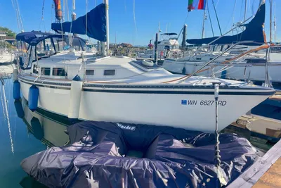 Newport 326