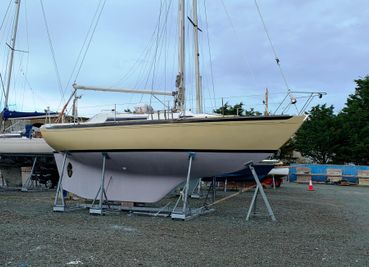 1977 Nicholson 31
