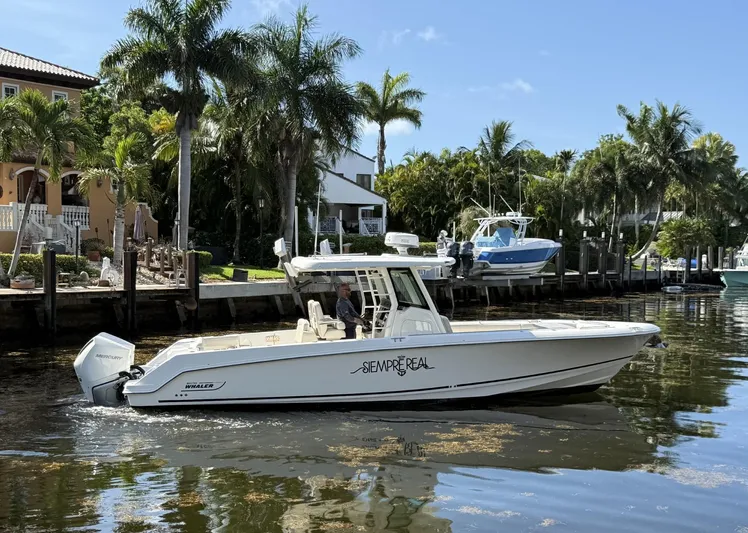  Yacht Photos Pics 2020 Boston Whaler 330 Outrage boat cruising near palm-lined waterfront homes.