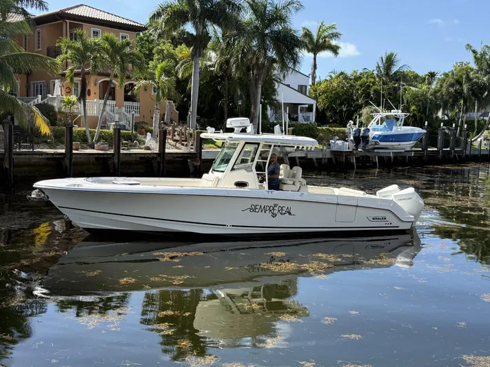  Yacht Photos Pics 2020 Boston Whaler 330 Outrage boat docked near waterfront homes, surrounded by palm trees.