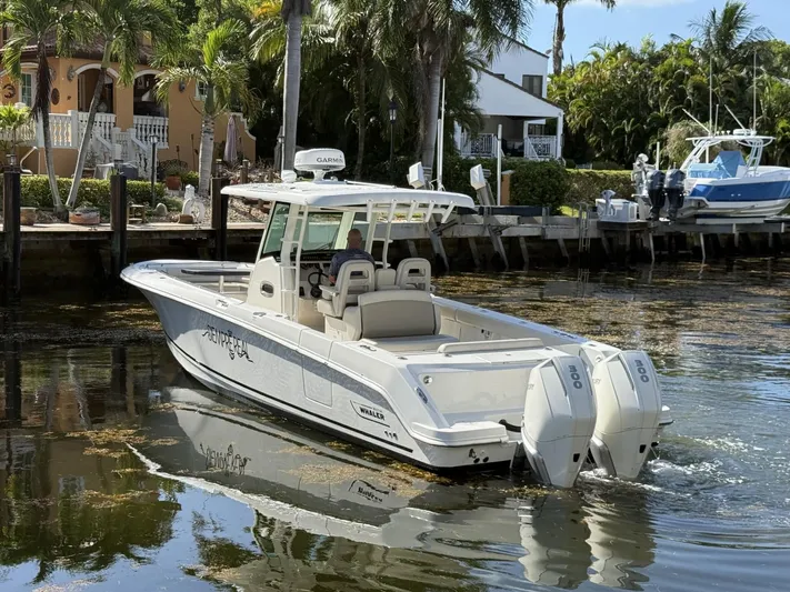  Yacht Photos Pics 2020 Boston Whaler 330 Outrage boat cruising near a waterfront property with palm trees.