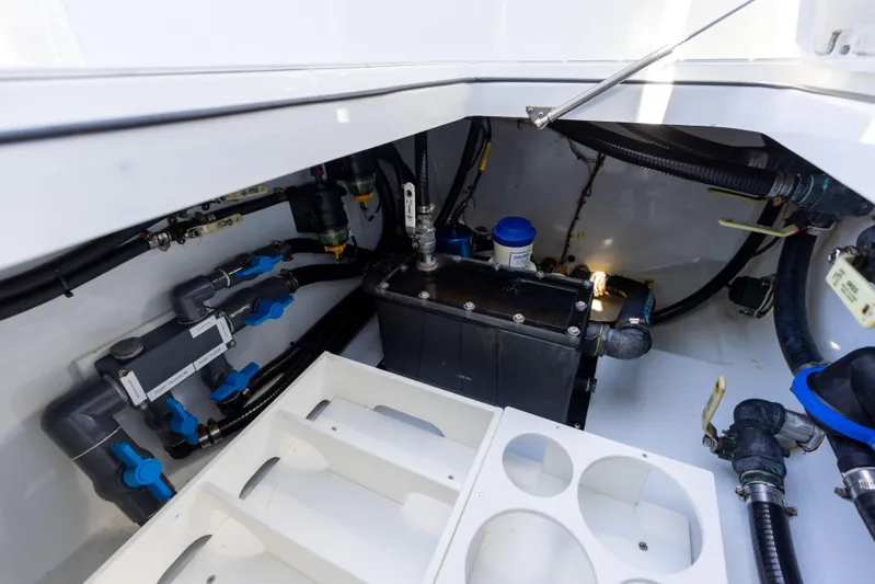 Strange Magic Yacht Photos Pics 