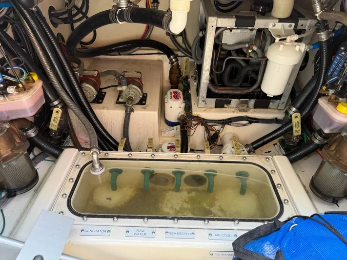 Reel Patience Yacht Photos Pics 