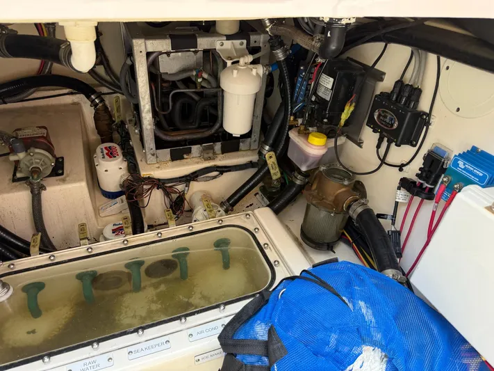 Reel Patience Yacht Photos Pics 