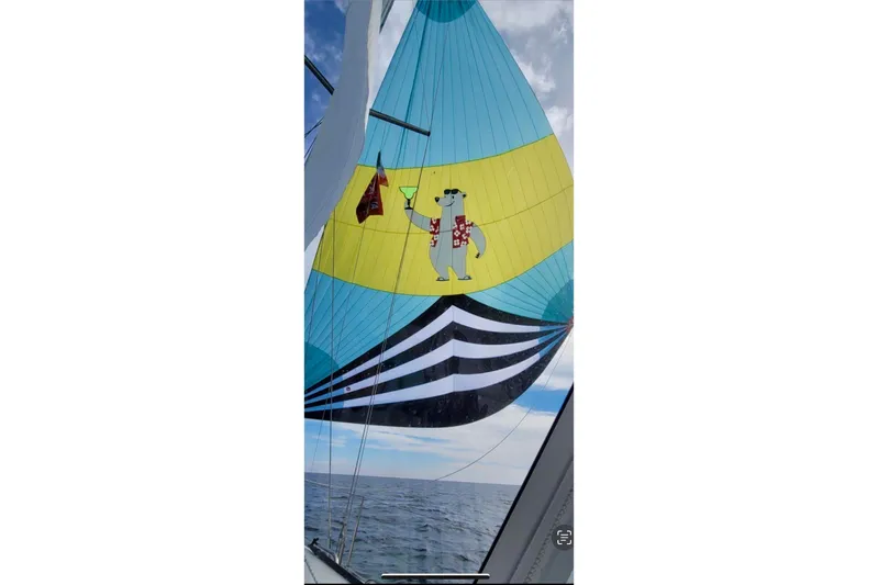 Nereid Yacht Photos Pics Sailboat with colorful sail featuring a bear design, Catalina 425, 2020 model.