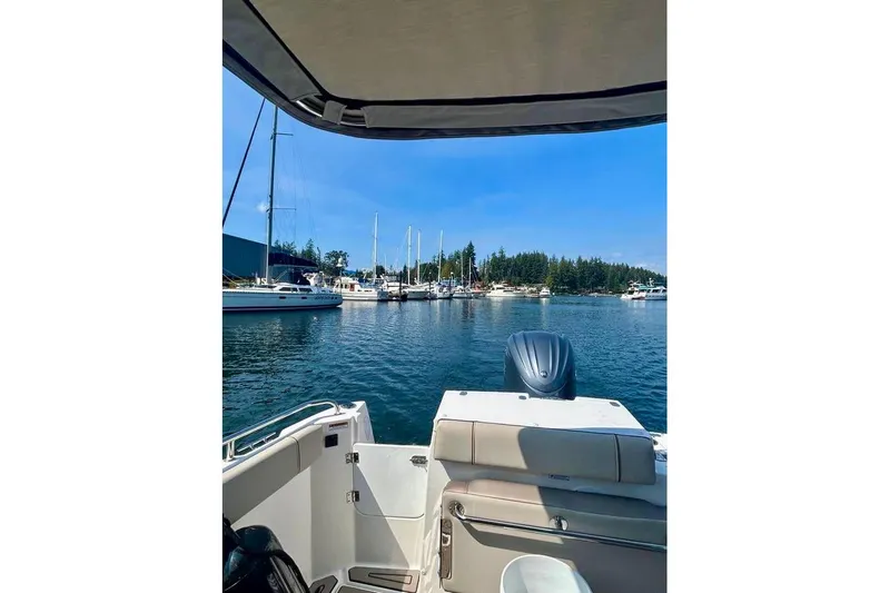  Yacht Photos Pics 2025 Cutwater C-248 Coupe boat view, marina with sailboats and trees in background.