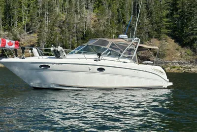 Sea Ray 290 Amberjack