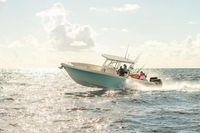2023 Sailfish 290 CC